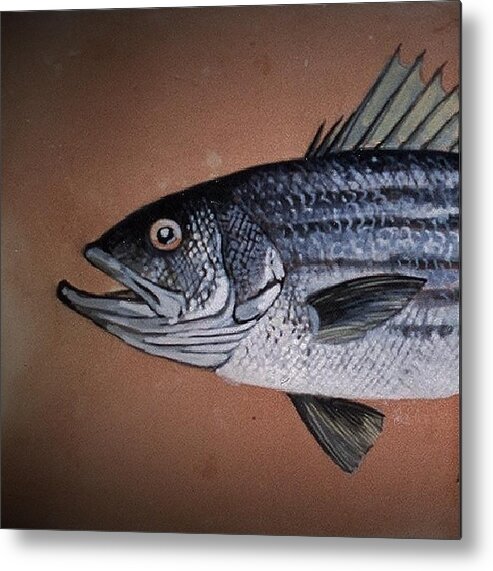 Fish Ocean Fishing Metal Print featuring the ceramic art Striped Bass 1 by Andrew Drozdowicz