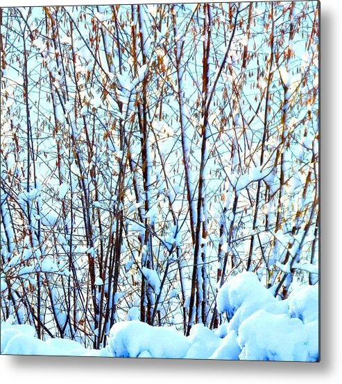 Winter Metal Print featuring the photograph Subtle Blue Glow by Will Borden