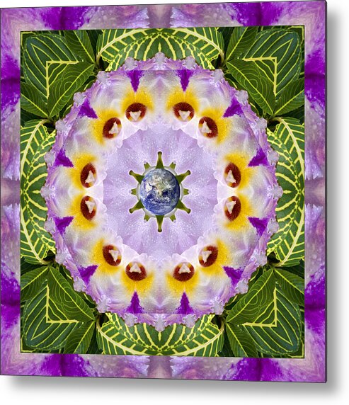 Mandalas Metal Print featuring the photograph Sun Shower by Bell And Todd