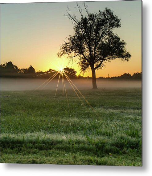 Sunrise Metal Print featuring the photograph Sunburst Sunrise - Single Tree Square Print by Gregory Ballos
