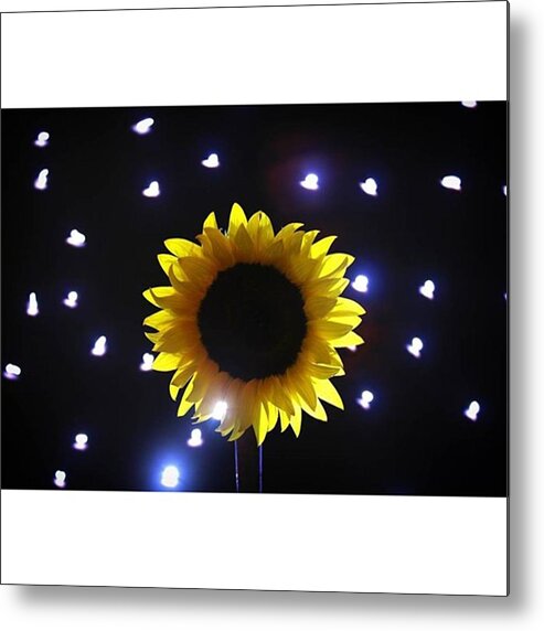 Sooc Metal Print featuring the photograph #sunflowers & #stars Series

#flower by Andrew Nourse
