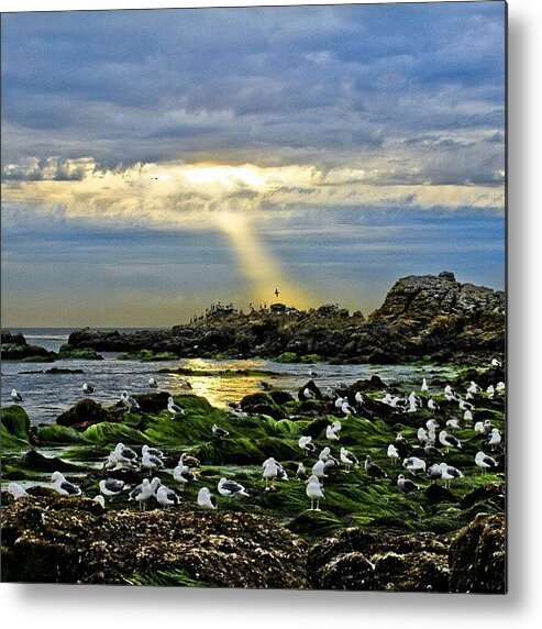Clouds Metal Print featuring the photograph #sunlight #beach #ocean #birds #water by Michael Amos