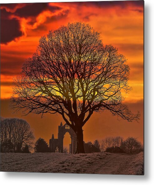 Sunset Priory Trees Ruins 1119 Gothic East End Great Window Arch Stone Landscape Buildings Metal Print featuring the photograph Sunset at the Priory by Jeff Townsend