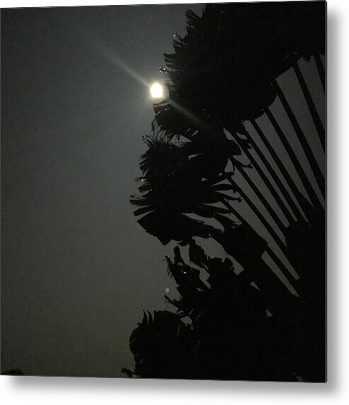 Super Moon Metal Print featuring the photograph Super Moon 1 by Karen Nicholson