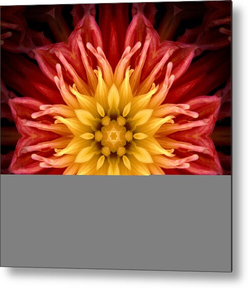 Surreal Metal Print featuring the photograph Surreal Flower No.1 by Andrew Giovinazzo