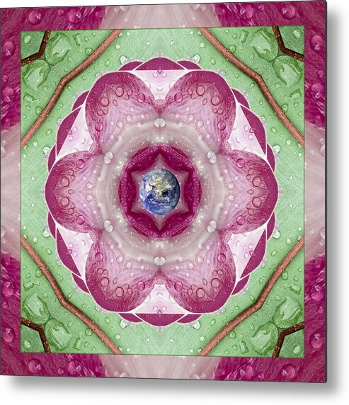 Mandalas Metal Print featuring the photograph Sweet Dew by Bell And Todd
