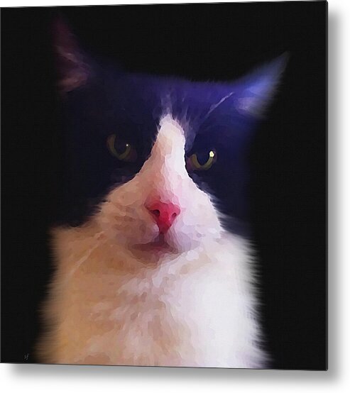 Animal Metal Print featuring the mixed media Sylvester Tuxedo Cat by Shelli Fitzpatrick