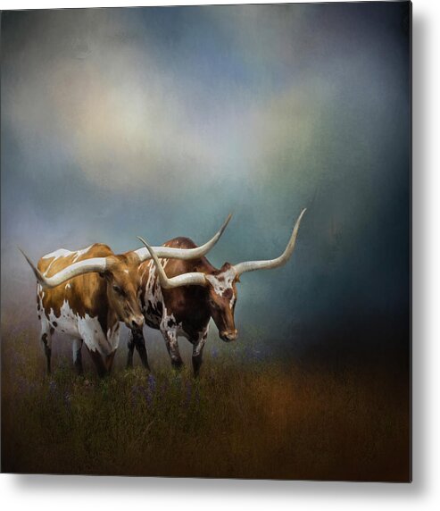 Animals Metal Print featuring the photograph Texas Longhorn Pair by David and Carol Kelly