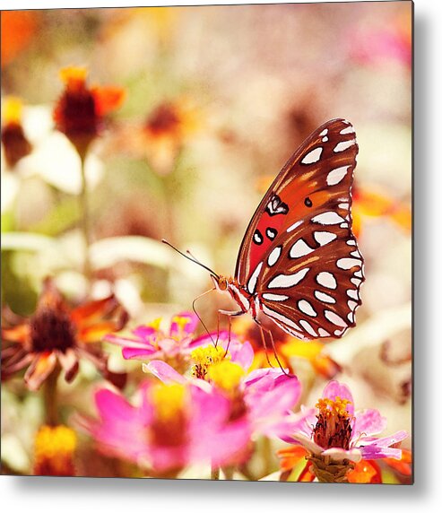 Butterfly Metal Print featuring the photograph Textured Butterfly by Joel Olives