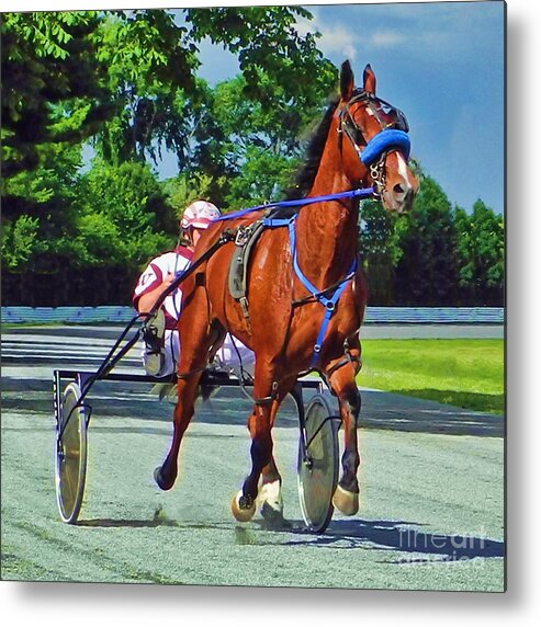 Standardbred Metal Print featuring the photograph The Backstretch by Carol Randall