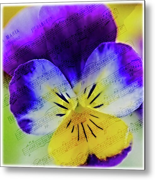 Flower Metal Print featuring the photograph The Music Of Flowers by Cathy Kovarik