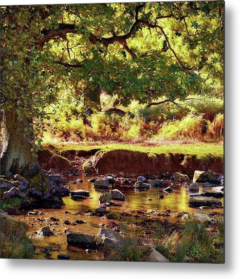 Linvalley Metal Print featuring the photograph The River Lin , Bradgate Park by John Edwards