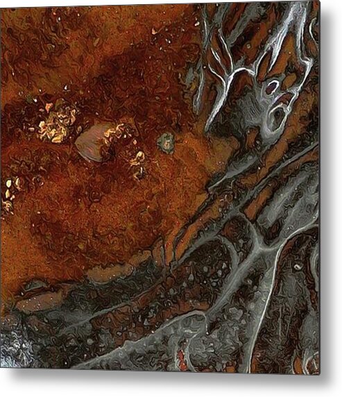 Dream Metal Print featuring the photograph The Slowly Evolving Dream by Wolfgang Schweizer