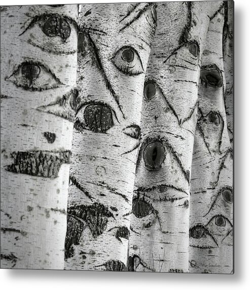 Trees Metal Print featuring the photograph The Trees Have Eyes by Wim Lanclus