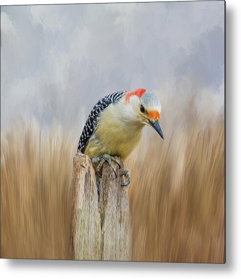 Woodpecker Metal Print featuring the photograph The Woodpecker by Cathy Kovarik