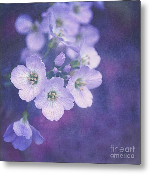 Purple Metal Print featuring the photograph This enchanted evening by Lyn Randle