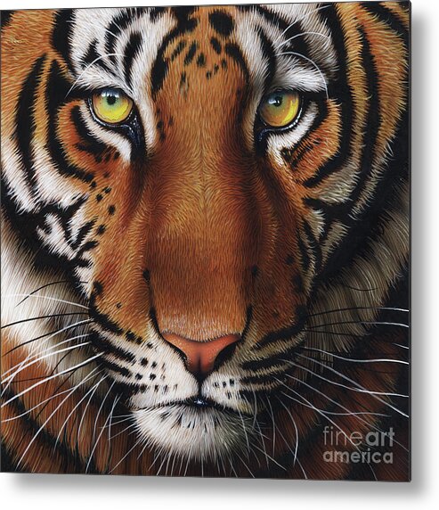 Tiger Metal Print featuring the painting Tiger 2 by Jurek Zamoyski
