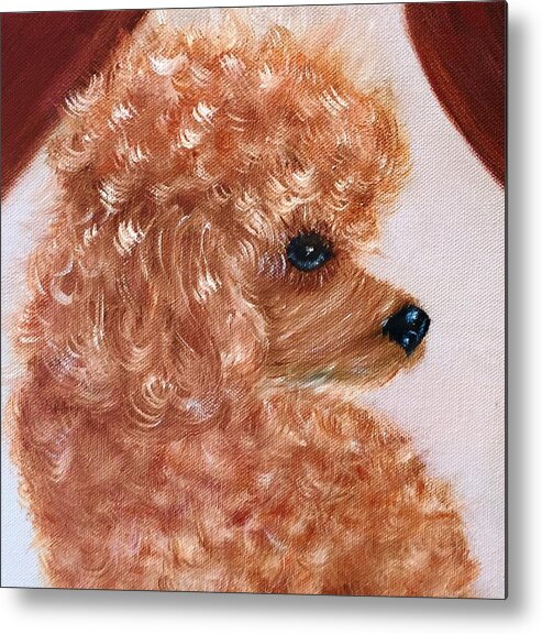 Animal Metal Print featuring the painting Toy Poodle by Donna Painter