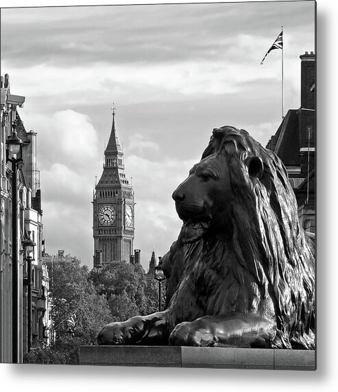London Metal Print featuring the photograph Trafalgar Square Lion with Big Ben in Black and White by Gill Billington