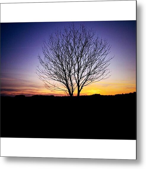 Nature Metal Print featuring the photograph #tree #tree_captures #sunset by Tat Fra
