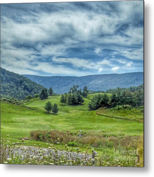 Trees Metal Print featuring the photograph Trees in the Valley by Kerri Farley