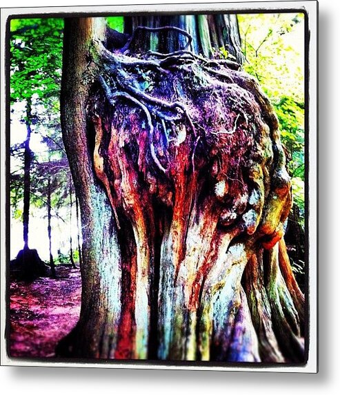 Beautiful Metal Print featuring the photograph #trippy #tree #growing Out Of Another by Eric Prudhomme