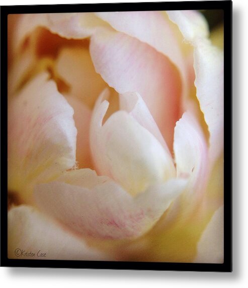Tulip Metal Print featuring the photograph Tulip macro by Kristen Case