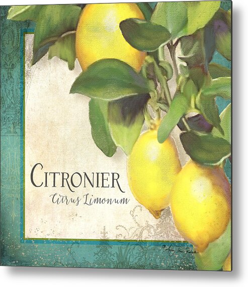 Lemon Metal Print featuring the painting Tuscan Lemon Tree - Citronier Citrus Limonum Vintage Style by Audrey Jeanne Roberts