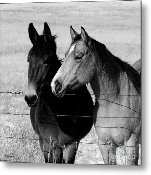 Horses Metal Print featuring the photograph Two Friends in Black and White by Rebecca Langen