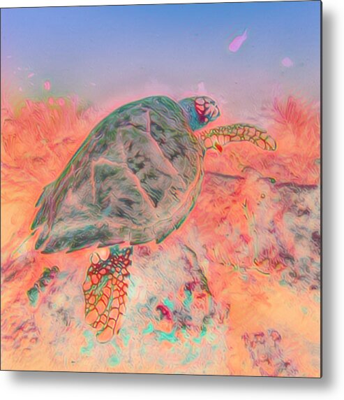 Florida Metal Print featuring the photograph Underwater Turtle Pastel Painting by Debra and Dave Vanderlaan