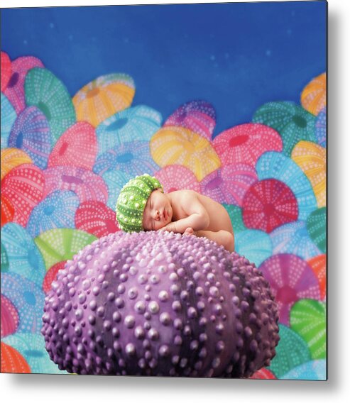 Under The Sea Metal Print featuring the photograph Vince as a Sea Urchin by Anne Geddes