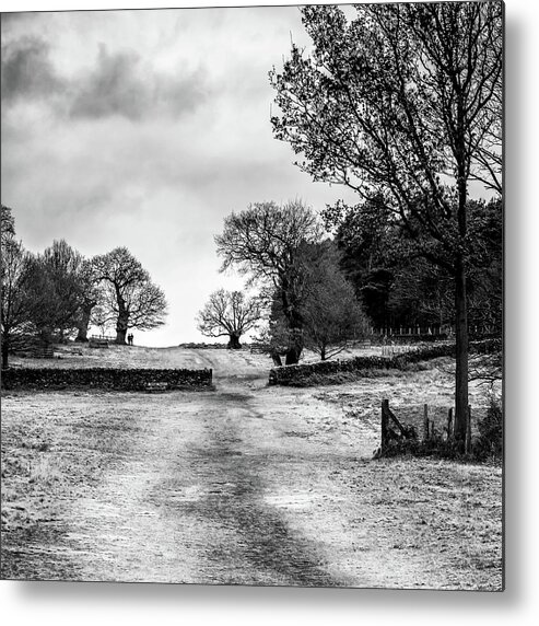 Park Metal Print featuring the photograph Well Trodden Path by Nick Bywater