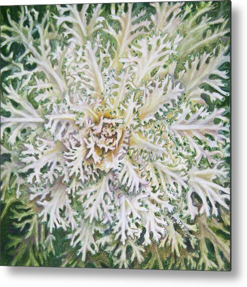 Pastel Metal Print featuring the pastel White Flowering Kale by Tara D Kemp