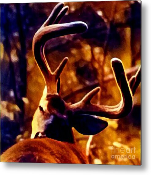 Deer Metal Print featuring the digital art Whitetail Buck by Art MacKay