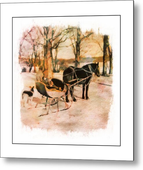 Horse Metal Print featuring the photograph Winter Horse Sled by Russel Considine