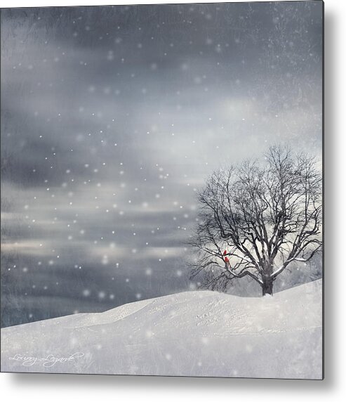 Four Seasons Metal Print featuring the photograph Winter by Lourry Legarde