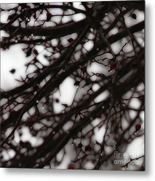 Branches Metal Print featuring the photograph Winter Rain - 3 by Linda Shafer