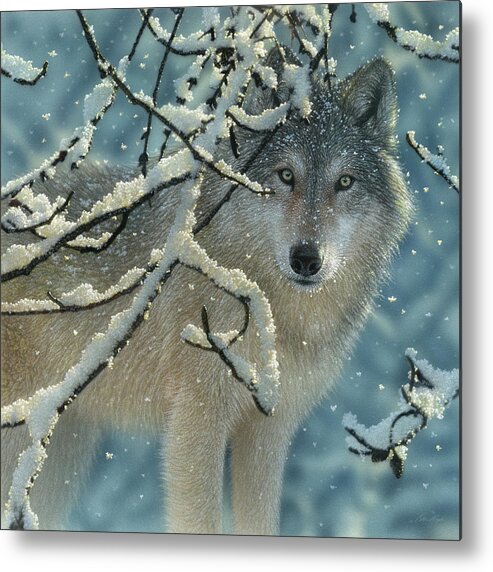 Wolf Art Metal Print featuring the painting Wolf in Snow - Broken Silence by Collin Bogle