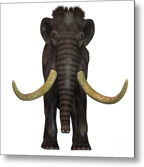 Woolly Mammoth Metal Print featuring the painting Woolly Mammoth Front by Corey Ford