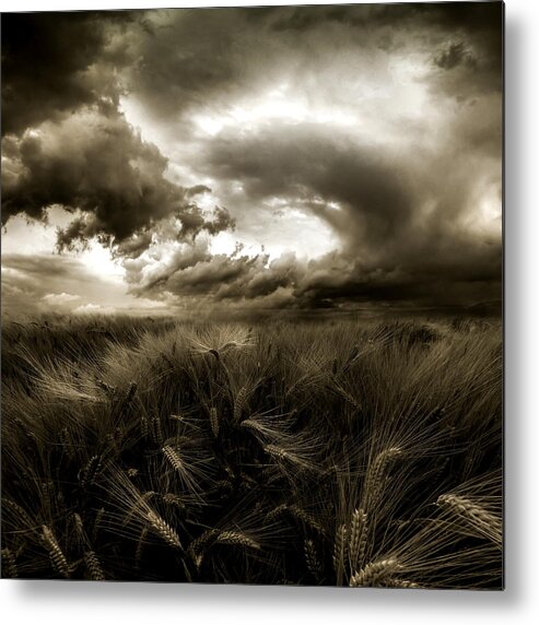 Field Metal Print featuring the photograph | After The Storm | by Franziskus Pfleghart