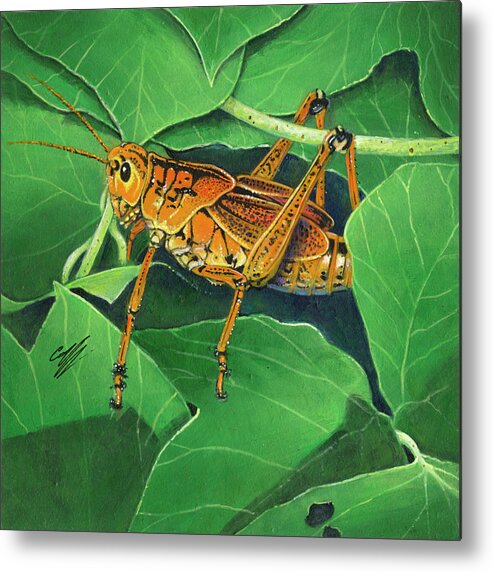 Grasshopper Metal Print featuring the painting Grasshopper #1 by Durwood Coffey