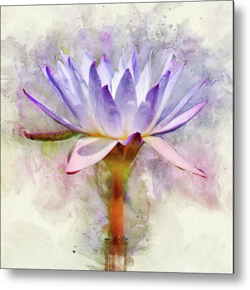 Water Lily Metal Print featuring the photograph Radiance Reflected #1 by Leda Robertson