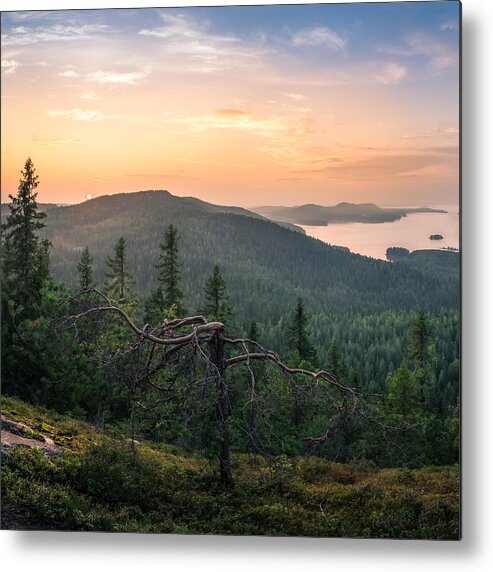 Landscape Metal Print featuring the photograph Scenic Landscape With Lake And Sunset #1 by Jani Riekkinen