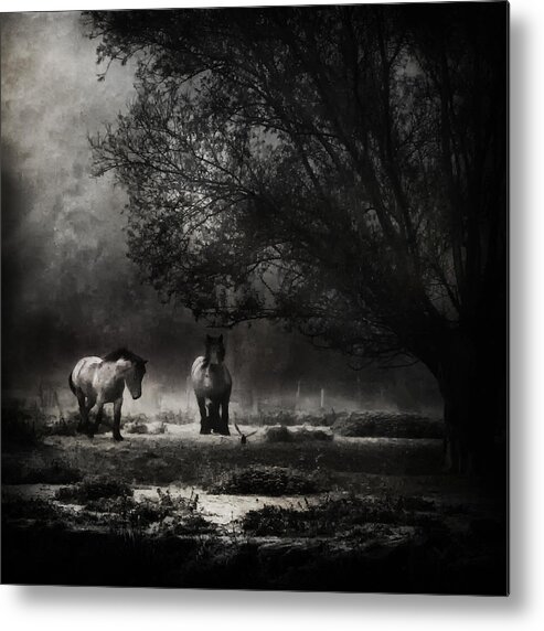Winter Metal Print featuring the photograph Under The Willow Tree #1 by Piet Flour