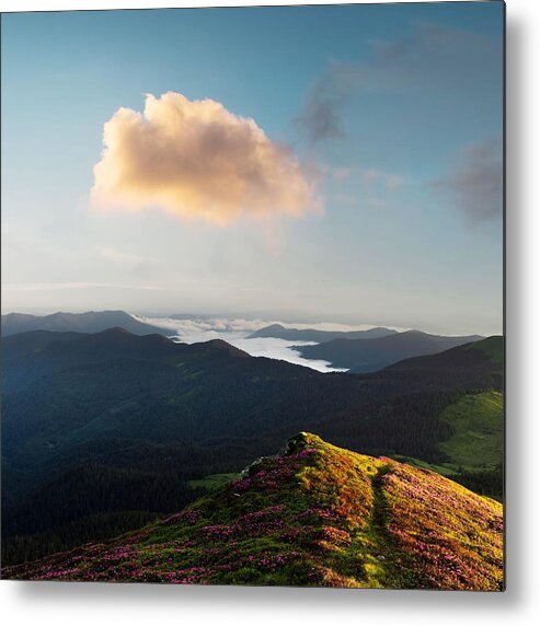 Landscape Metal Print featuring the photograph Rhododendron Flowers Covered Mountains #16 by Ivan Kmit