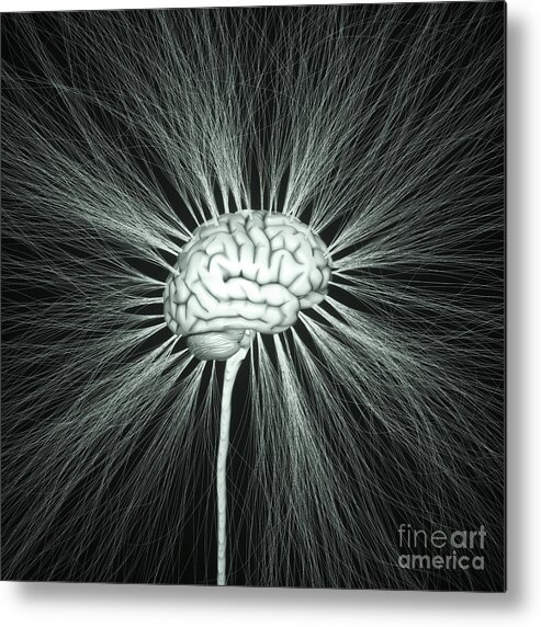 Anatomy Metal Print featuring the photograph Human Nervous System by Ktsdesign/sciencephotolibrary