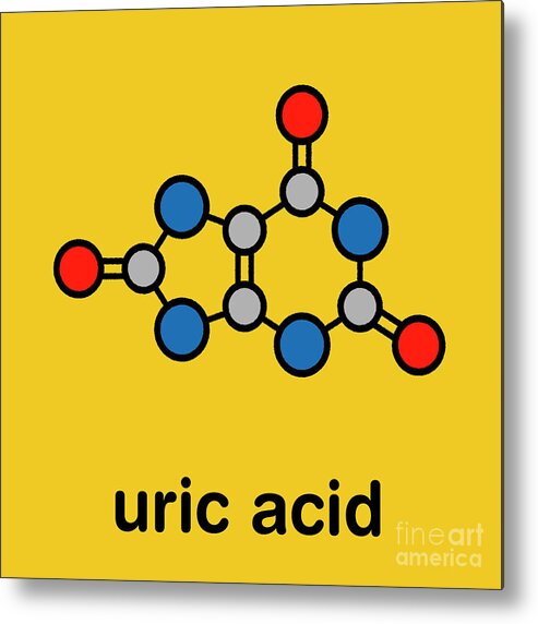 Uric Metal Print featuring the photograph Uric Acid Molecule #3 by Molekuul/science Photo Library