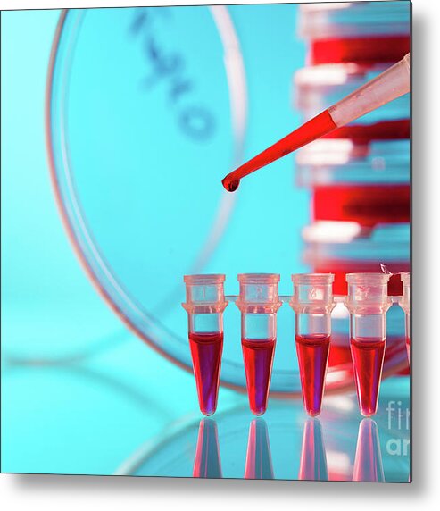 Research Metal Print featuring the photograph Biological Research #76 by Wladimir Bulgar/science Photo Library