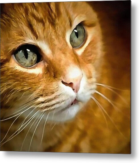 Tabby Cat Metal Print featuring the painting Adorable Ginger Tabby Cat Posing by Taiche Acrylic Art