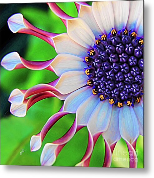 Elegant Metal Print featuring the mixed media African Daisy by TK Goforth